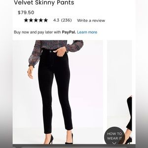 LOFT VELVET SKINNY PANTS